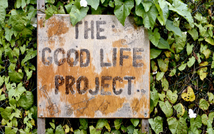 The Good Life Project Open Day