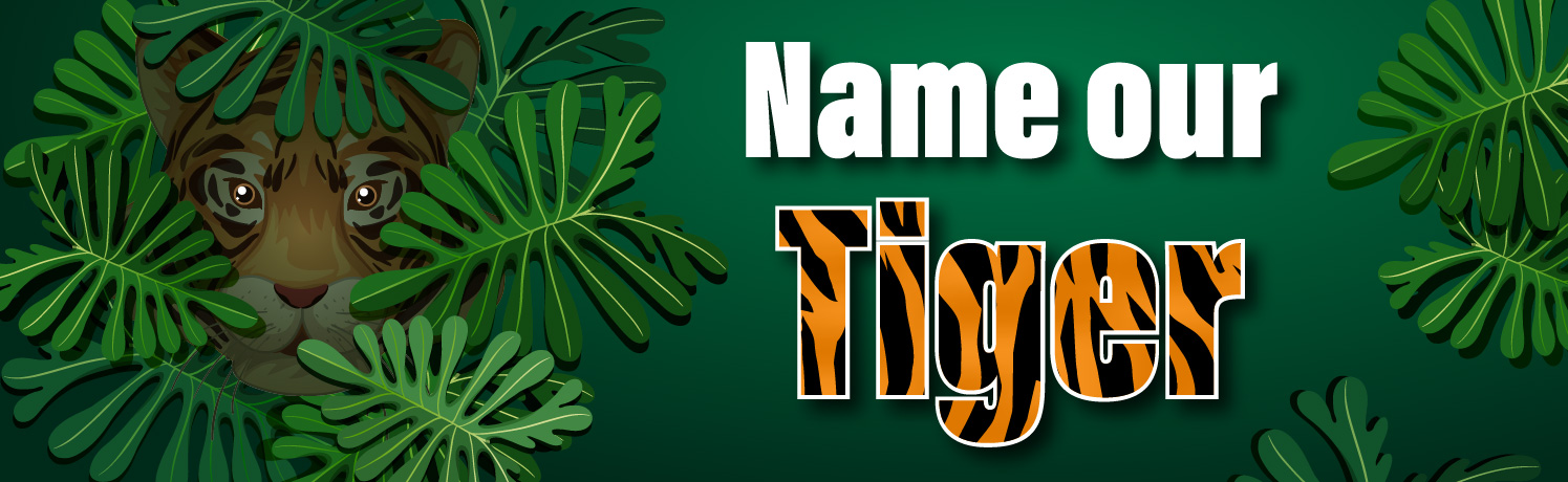 Name Our Tiger Competition Terms & Conditions